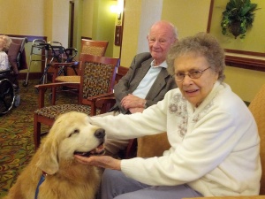 Breeze the Therapy Dog, Willows of Arbor Lakes Senior Living, Maple Grove, MN